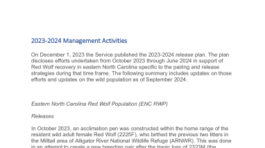 2023-2024 Red Wolf Management Activities