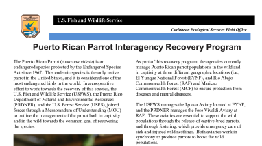 Puerto Rican Parrot Recovery Program 