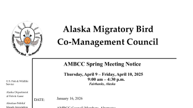 Announcement of Alaska Migratory Bird Co-Management Council Spring Meeting 2026