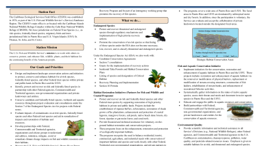 Caribbean Ecological Services Field Office 
