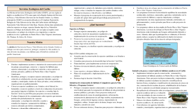 Oficina de Servicios Ecológicos del Caribe