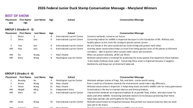 2026 Maryland Junior Duck Stamp Placing Conservation Message