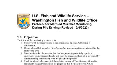 Marbled Murrelet Monitoring Protocol During Pile Driving