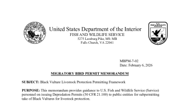 MBPM-7-02: Black Vulture Livestock Protection Permitting Framework