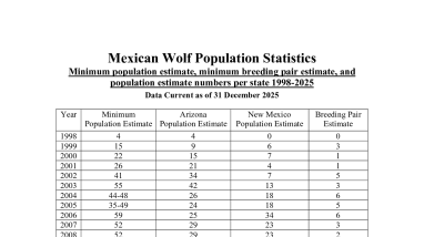 Mexican Wolf Population Estimate 1998 - 2025