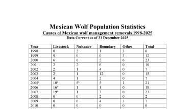 Causes and Outcomes of Mexican Wolf Management Removals 1998 - 2025