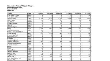 BNWR Winter 2026 Waterfowl Survey