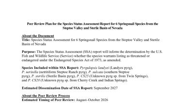 Peer Review Plan for the 6 Springsnail Species from the Steptoe Valley and Sterile Basin of Nevada Species Status Assessment
