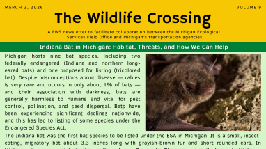 The Wildlife Crossing Volume 9
