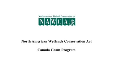 North American Wetlands Conservation Act Canada Grant Proposal Eligibility Criteria & Processes