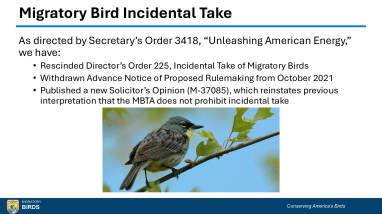 2026 Spring Tribal Coordination Meeting - MBTA Presentation