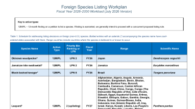 Foreign Species Listing Workplan