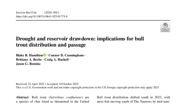 Drought and reservoir drawdown: implications for bull trout distribution and passage