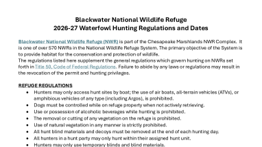 Blackwater NWR 2026-27 Waterfowl Hunting Regulations