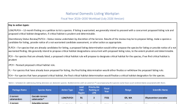 National Listing Workplan