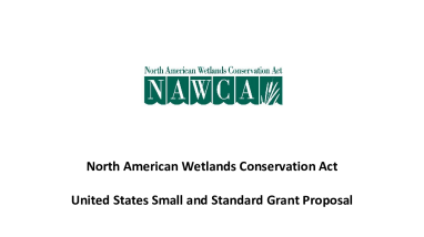 North American Wetlands Conservation Act United States Small and Standard Grant Proposal Eligibility Criteria & Processes