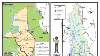 Savannah NWR Full and Trail Maps