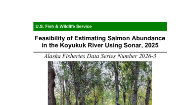 Feasibility of Estimating Salmon Abundance in the Koyukuk River Using Sonar, 2025