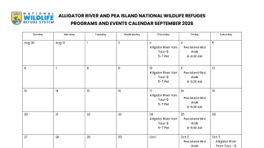 Alligator River and Pea Island NWR Interpretive Program Schedule