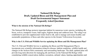 Bison & Elk Management Plan Environmental Impact Statement FAQs
