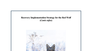 Red Wolf Recovery Implementation Strategy (RIS)