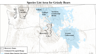 Species List Area for Grizzly Bears