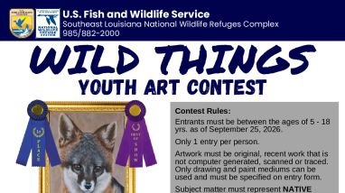 Wild Things Youth Art Contest