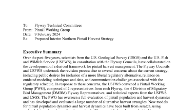 Adaptive Harvest Management Protocol for Northern Pintail