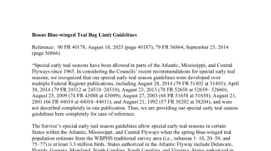 Bonus Blue-winged Teal bag Limit Guidelines