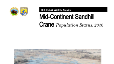 Coordinated Spring Survey Of Mid-Continent Sandhill Cranes 2026