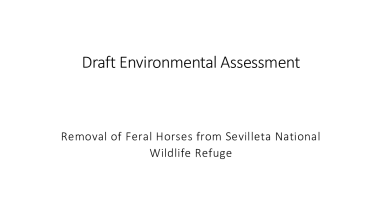 Draft Environmental Assessment of Removal of Feral Horses from Sevilleta National Wildlife Refuge