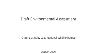 Draft Environmental Assessment: Grazing at Ruby Lake National Wildlife Refuge