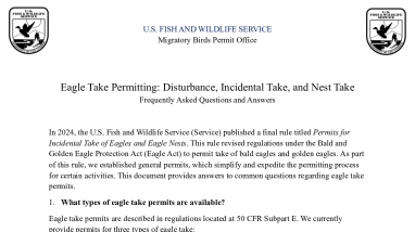Eagle Take Permitting Overview FAQs