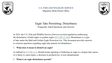 Eagle Take Permitting: Disturbance FAQs