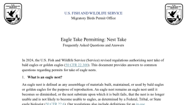 Eagle Take Permitting: Nest Take FAQs