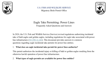Eagle Take Permitting: Power Lines FAQs