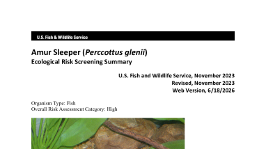 Ecological Risk Screening Summary - Amur Sleeper (Perccottus glenii) - High Risk