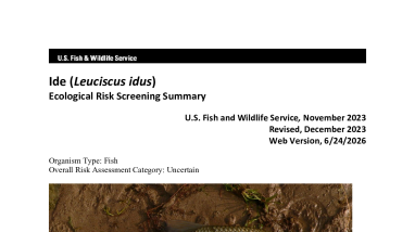Ecological Risk Screening Summary - Ide (Leuciscus idus) - Uncertain Risk