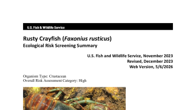 Ecological Risk Screening Summary - Rusty Crayfish (Faxonius rusticus) - High Risk