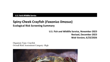 Ecological Risk Screening Summary - Spiny-Cheek Crayfish (Faxonius limosus)- High Risk