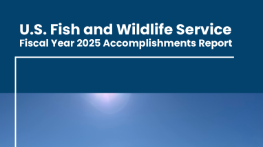 FWS Transportation Program Annual Accomplishments Report – Fiscal Year 2025