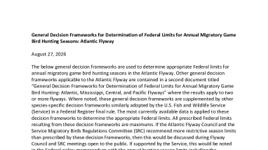 General decision frameworks for the Atlantic Flyway