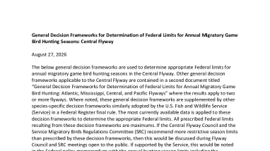 General decision frameworks for the Central Flyway