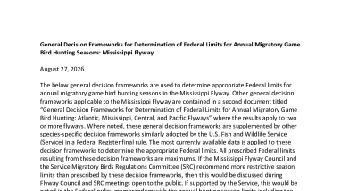 General decision frameworks for the Mississippi Flyway