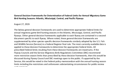 General decision frameworks for multiple flyways