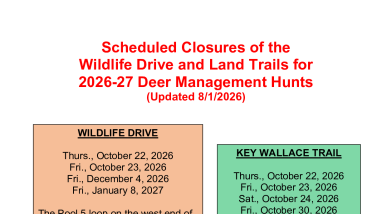 Blackwater NWR Hunting Closures 2026-27