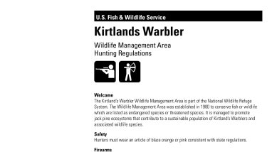 Kirtland's Warbler Hunting Brochure