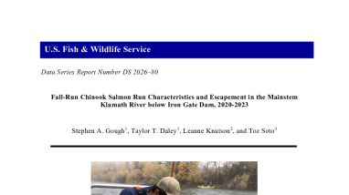 Fall-Run Chinook Salmon Run Characteristics and Escapement in the Mainstem Klamath River below Iron Gate Dam, 2020-2023
