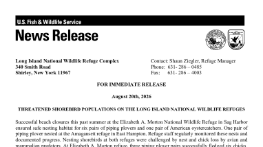 2026 Beach Nesting Season