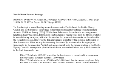 Pacific Brant Harvest Strategy